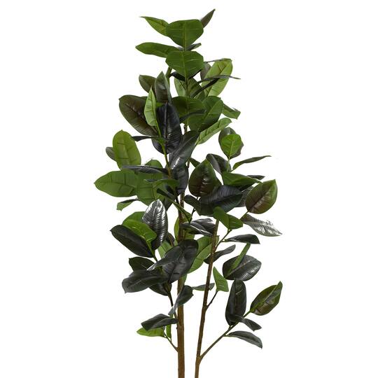 6ft. Potted Rubber Leaf Tree by Ashland®